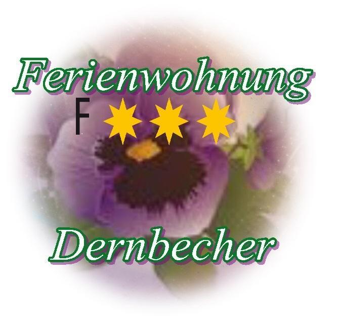 Ferienwohnung Dernbecher 萨尔布吕肯 外观 照片